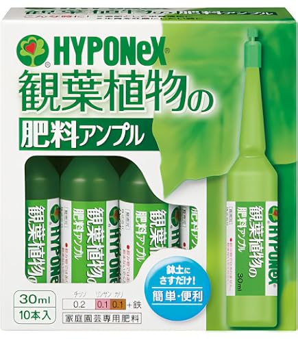 Amazon.co.jp: X-ENERGYダイレクト アンプルタイプ (35ml×10本)×40箱